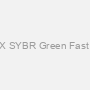 Genious 2X SYBR Green Fast qPCR Mix